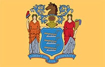 NJ State Flag